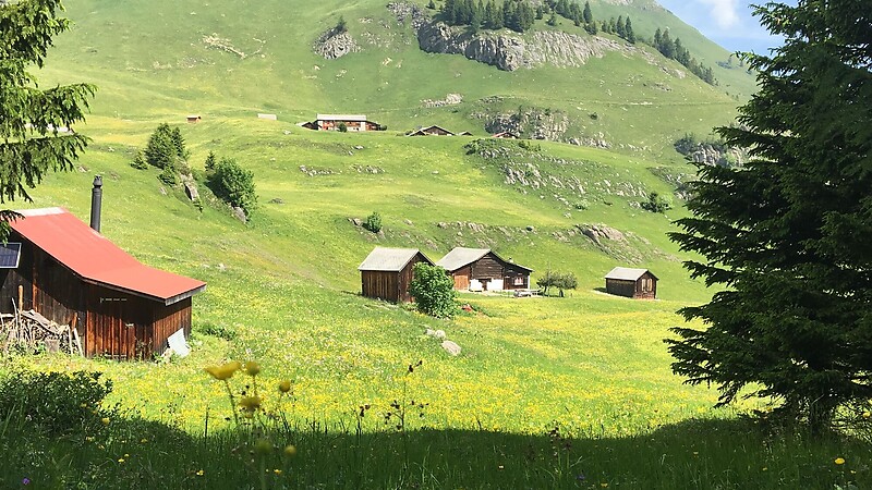 Zemljevid