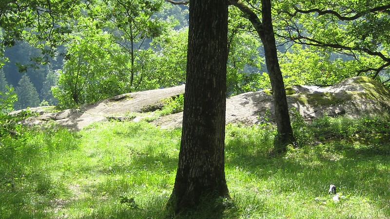 Zemljevid