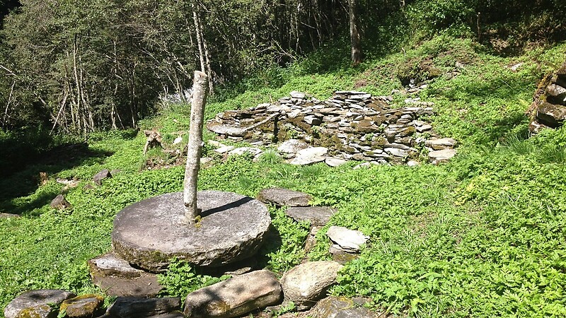 Zemljevid