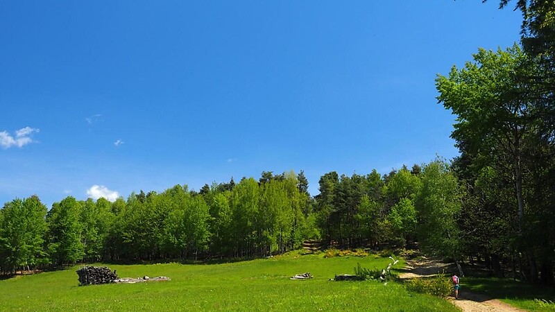Zemljevid