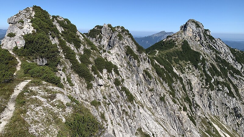Zemljevid