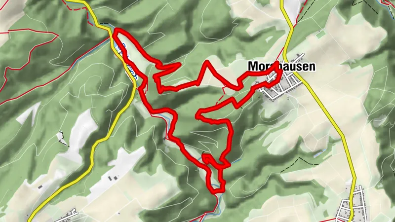 Murscher Eselsche Dream Loop