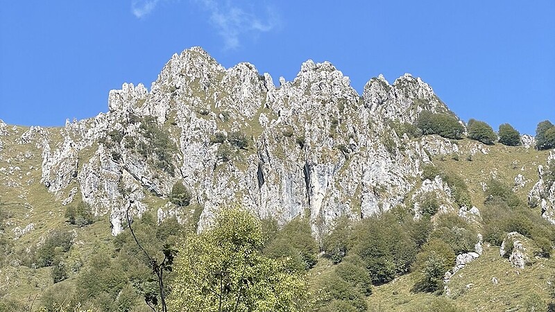 Zemljevid