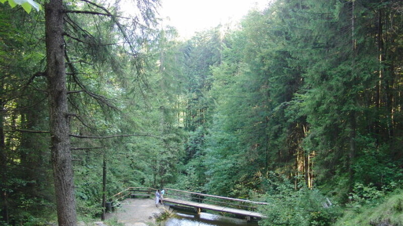 Zemljevid