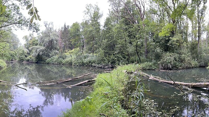 Zemljevid