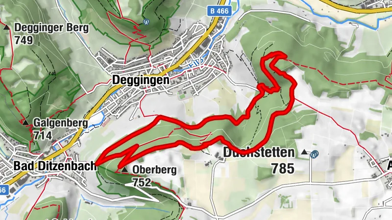Lion trail "Ave-Weg" - A touch of pilgrimage on the Albtrauf