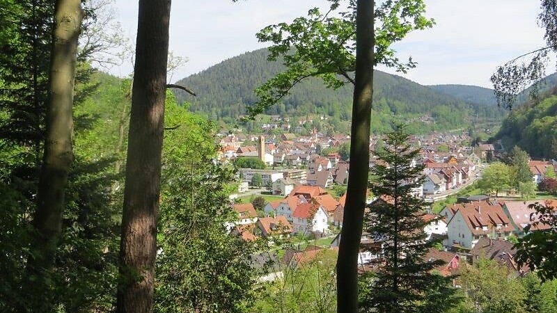 Zemljevid
