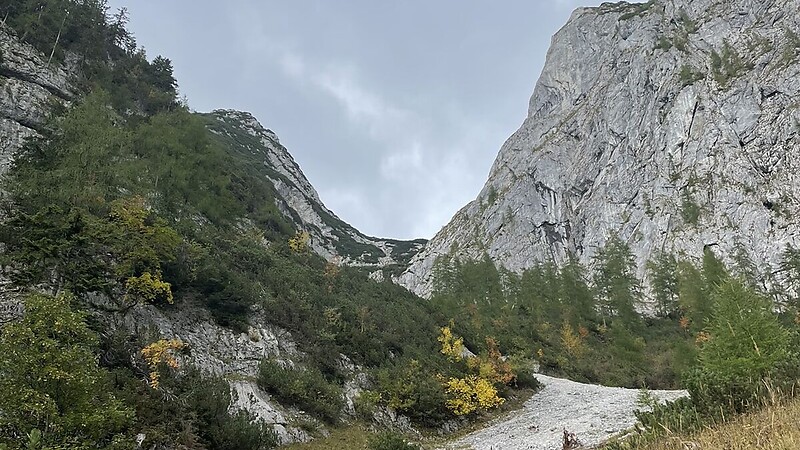 Zemljevid