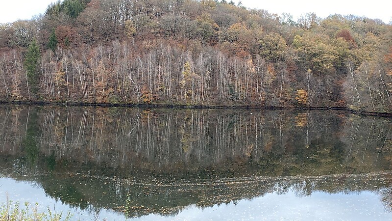 Zemljevid