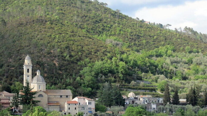 Zemljevid