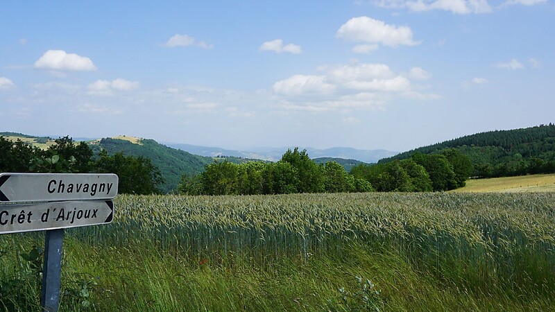 Zemljevid