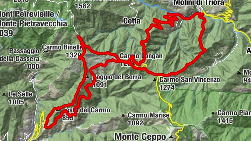 Agrifoglio Molini di Triora (Molini di Triora)