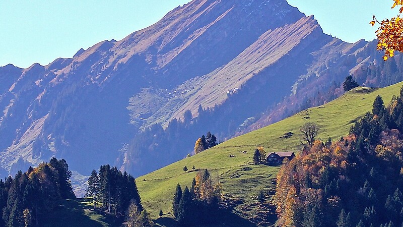 Zemljevid