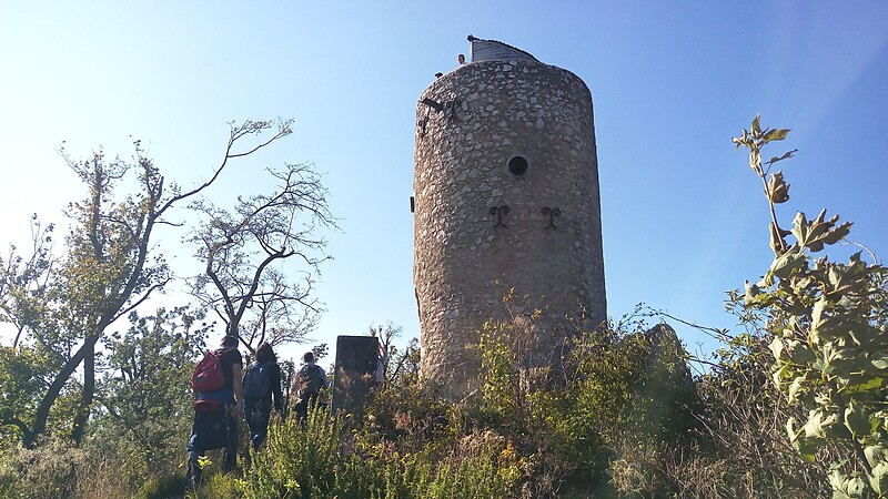 Zemljevid