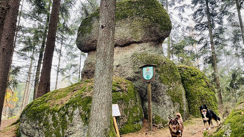Zemljevid