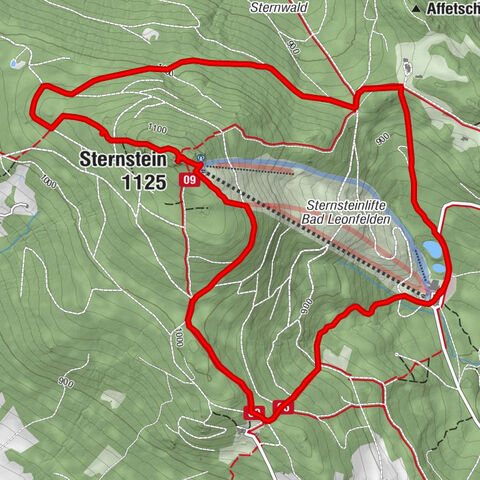 Sternsteinrunde „Wilson Holz“