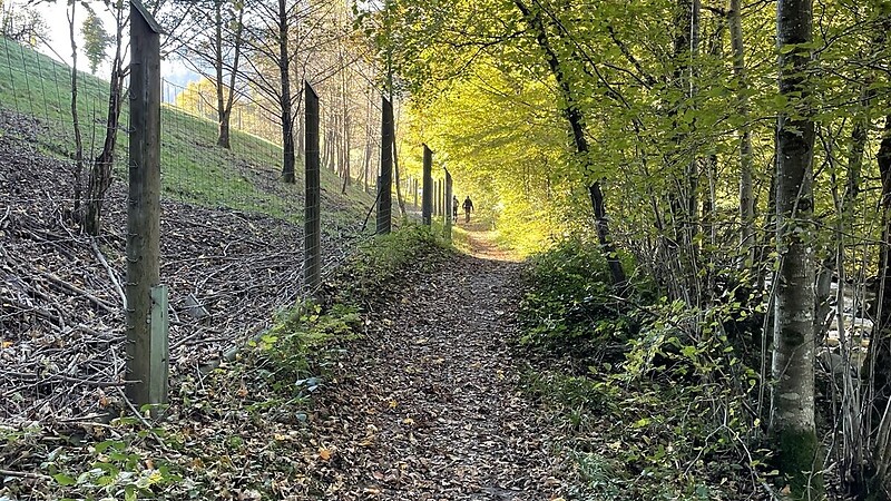 Zemljevid
