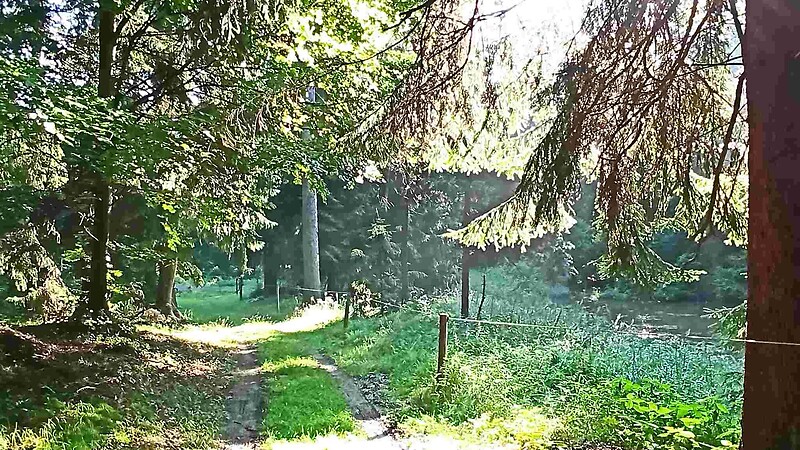 Zemljevid