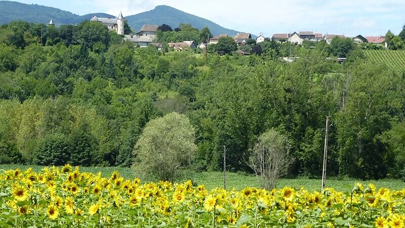 Zemljevid