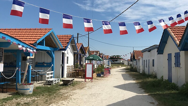 Zemljevid