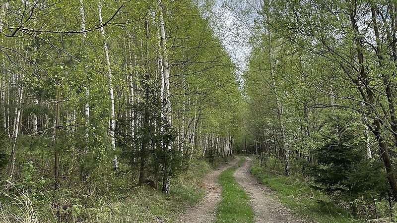 Zemljevid