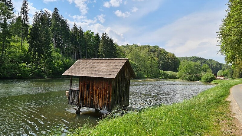 Zemljevid