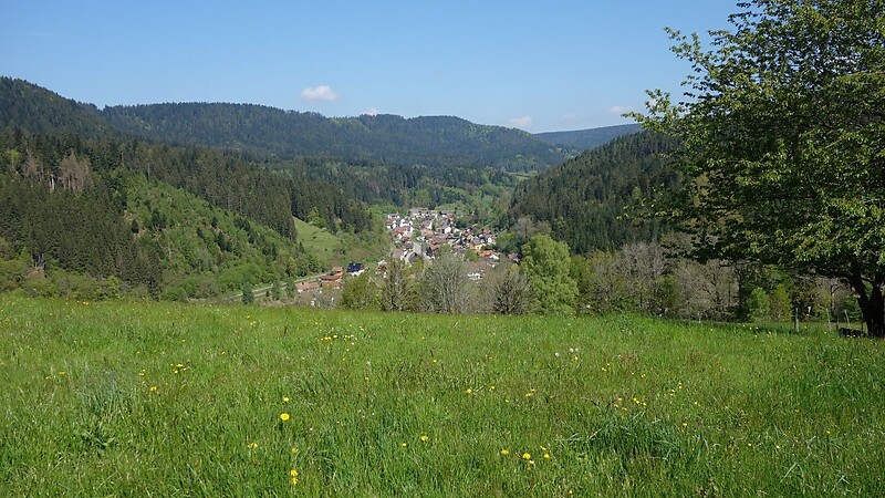 Zemljevid
