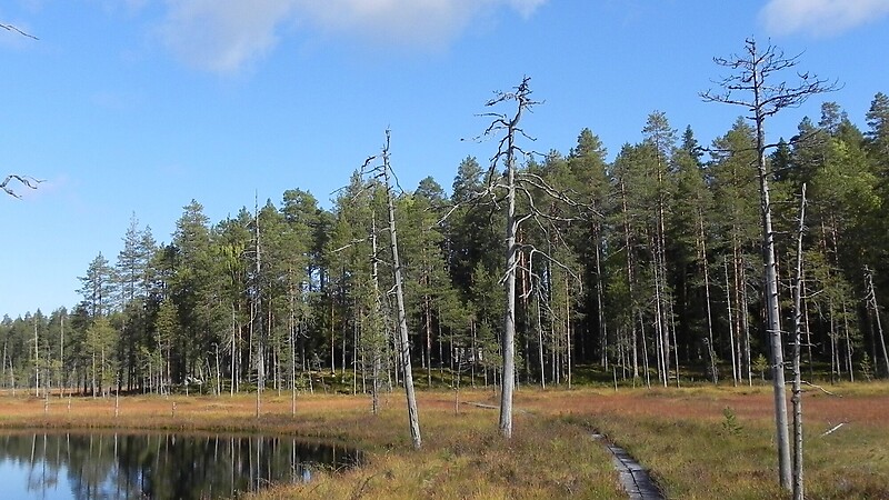 Zemljevid