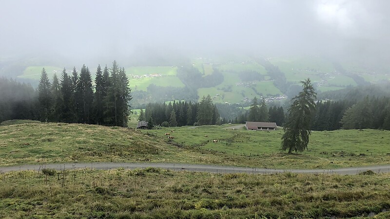 Zemljevid