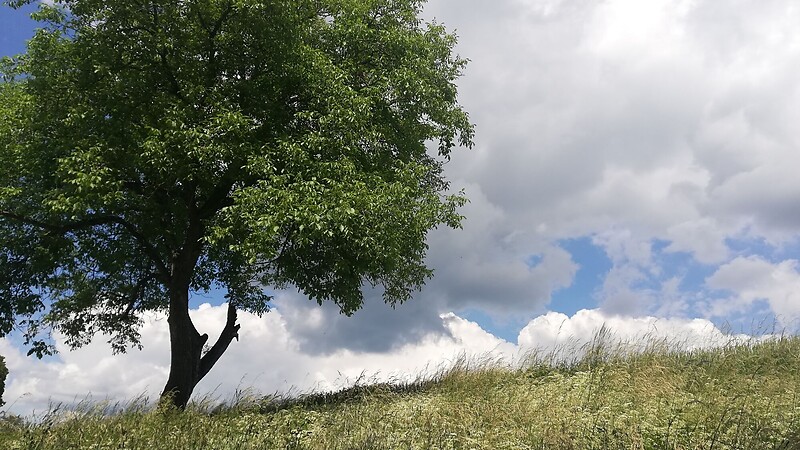 Zemljevid