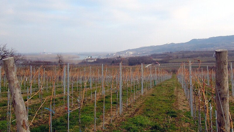 Zemljevid