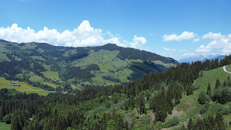 Zemljevid