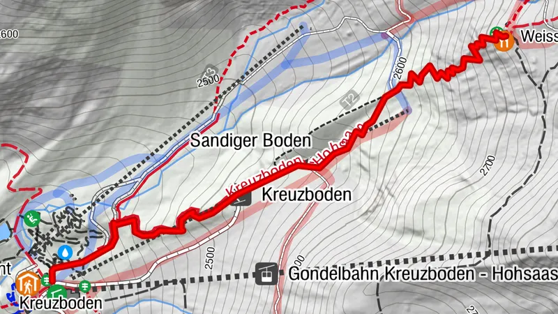 Animal Trail to Weissmieshütte