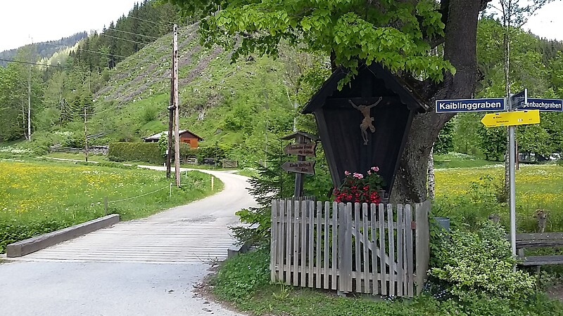 Zemljevid