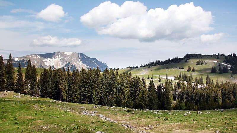 Zemljevid