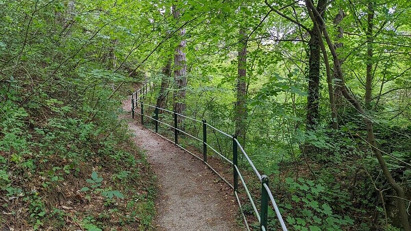 Zemljevid