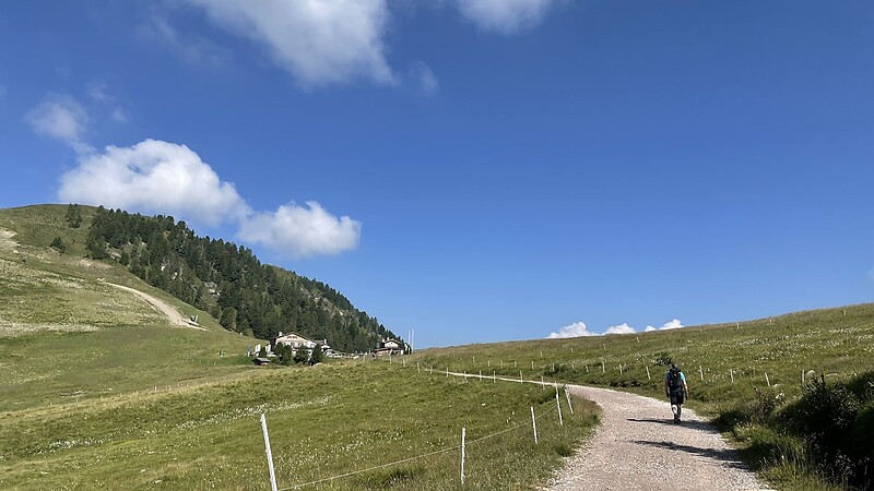 Zemljevid