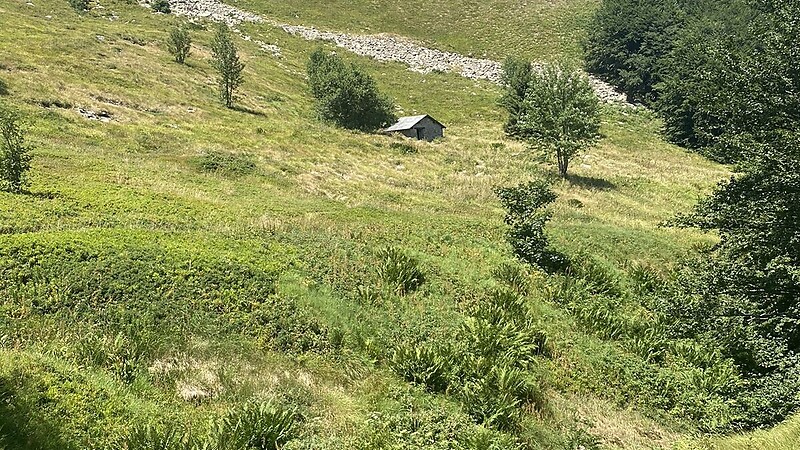 Zemljevid