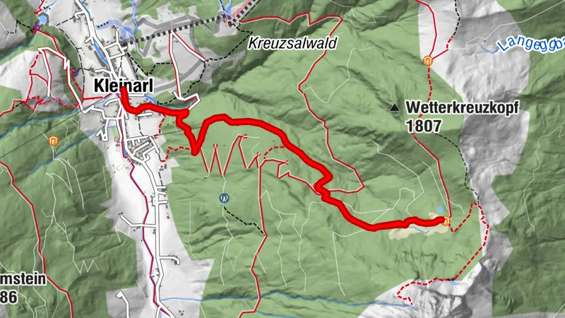 Steinkaralm