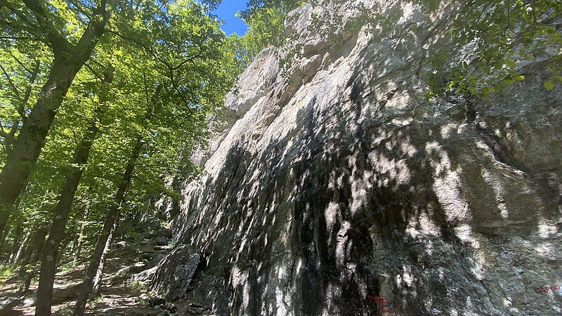 Zemljevid