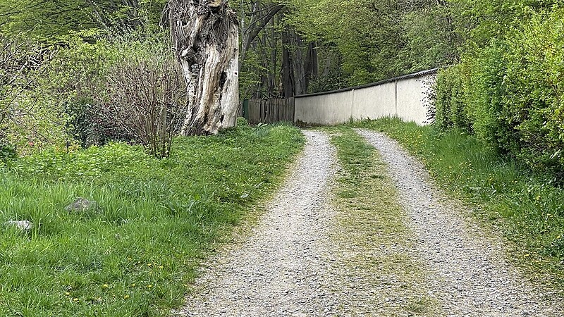 Zemljevid