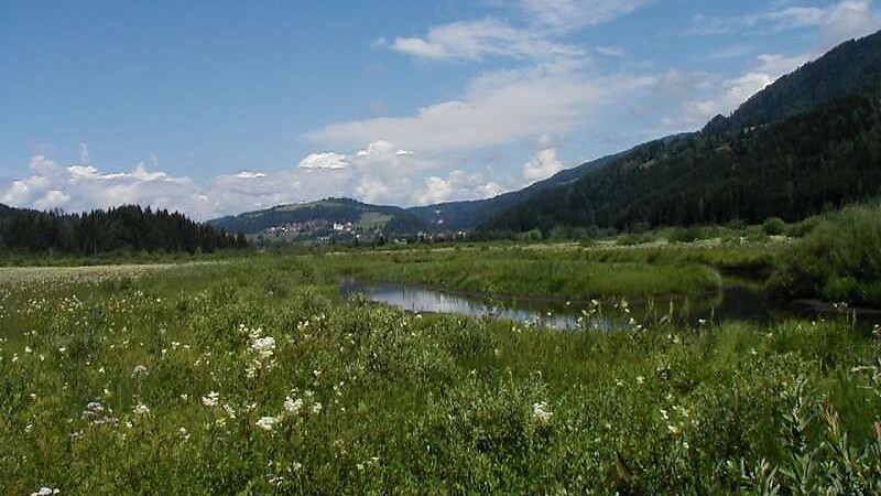 Zemljevid