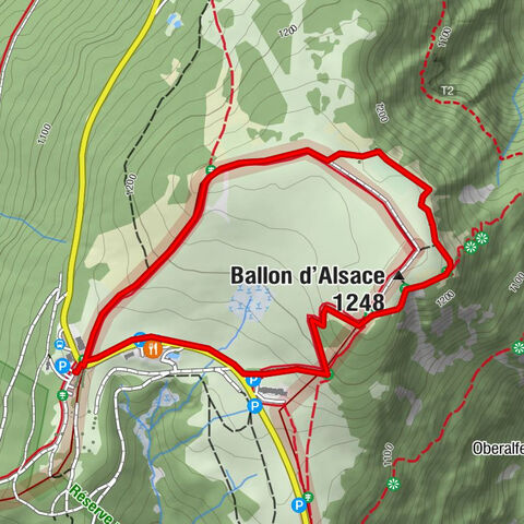 Discovery trail circuit at the Ballon d'Alsace