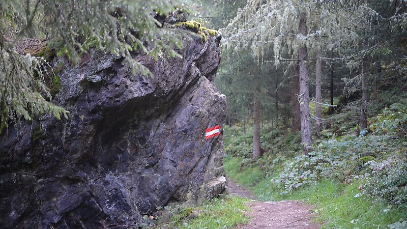 Zemljevid