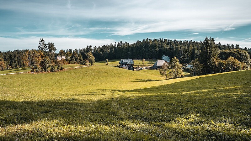 Zemljevid