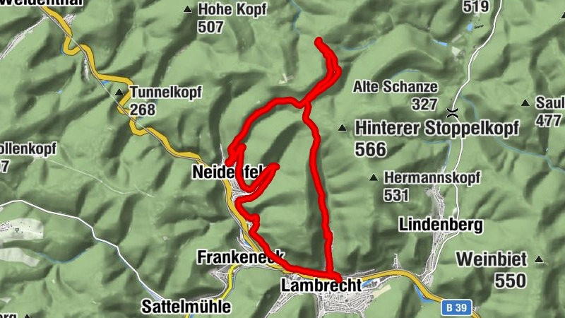Von Lambrecht zum Lambertskreuz und Ruine Neidenfels