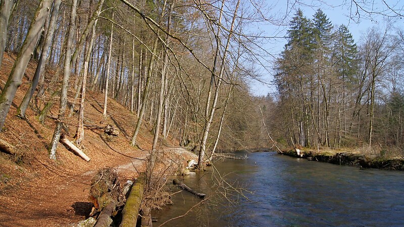 Zemljevid