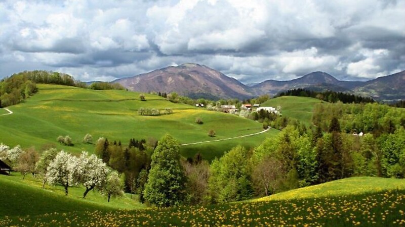 Zemljevid