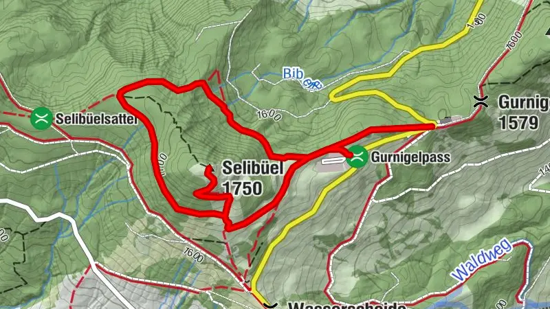 Selibühl Panoramatrail (SchweizMobil 113)