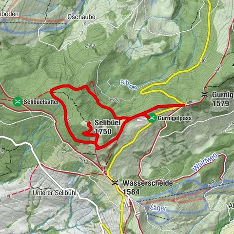 Selibühl Panoramatrail (SchweizMobil 113)
